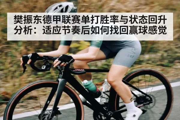樊振东德甲联赛单打胜率与状态回升分析：适应节奏后如何找回赢球感觉